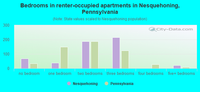 Bedrooms in renter-occupied apartments in Nesquehoning, Pennsylvania