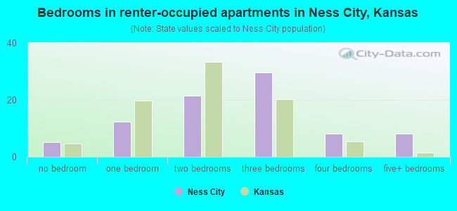 Bedrooms in renter-occupied apartments in Ness City, Kansas
