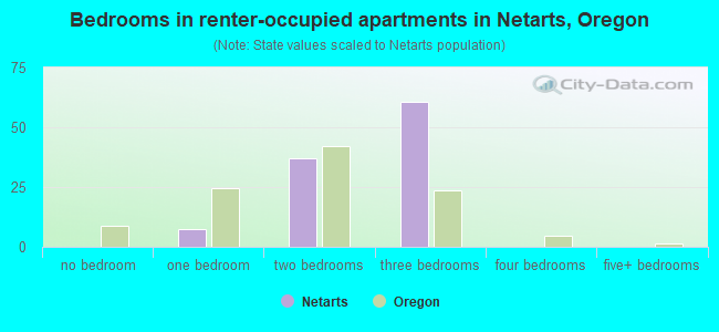 Bedrooms in renter-occupied apartments in Netarts, Oregon