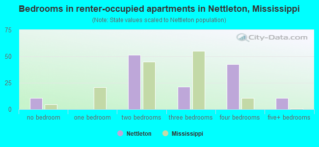 Bedrooms in renter-occupied apartments in Nettleton, Mississippi