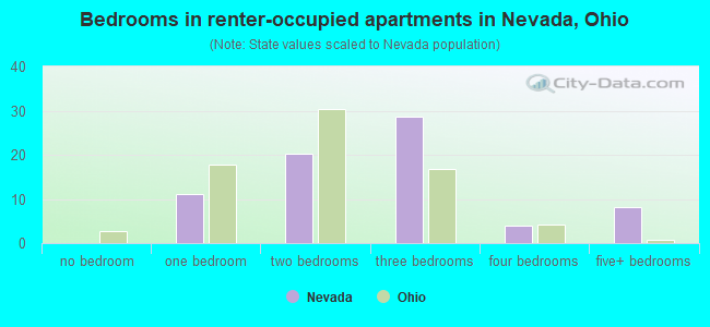 Bedrooms in renter-occupied apartments in Nevada, Ohio