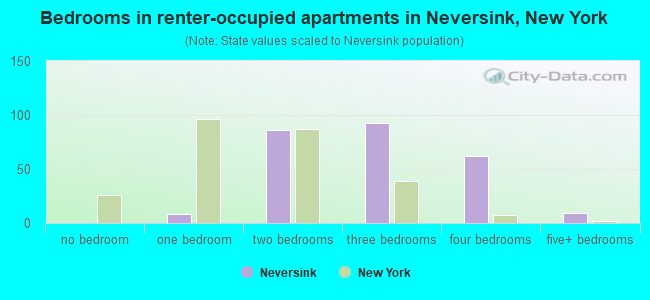 Bedrooms in renter-occupied apartments in Neversink, New York