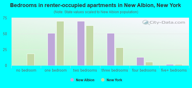 Bedrooms in renter-occupied apartments in New Albion, New York
