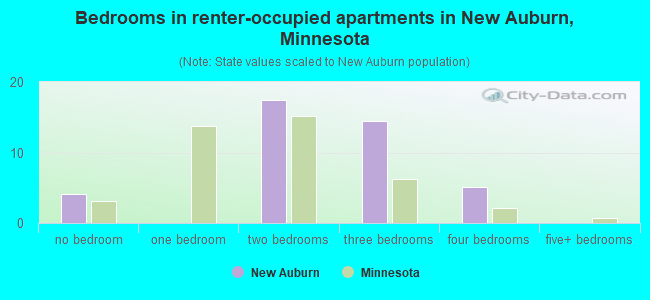 Bedrooms in renter-occupied apartments in New Auburn, Minnesota