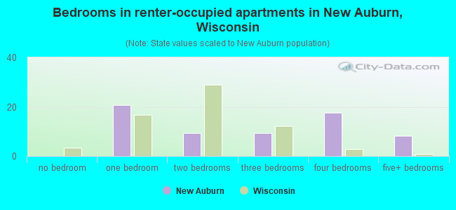 Bedrooms in renter-occupied apartments in New Auburn, Wisconsin