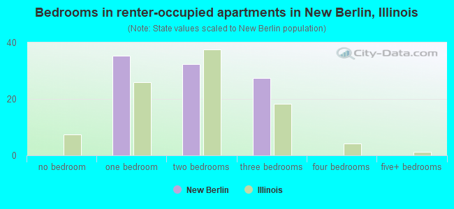 Bedrooms in renter-occupied apartments in New Berlin, Illinois