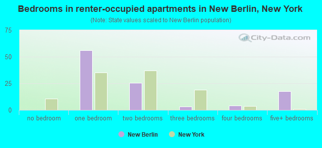 Bedrooms in renter-occupied apartments in New Berlin, New York