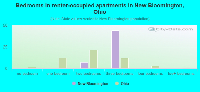 Bedrooms in renter-occupied apartments in New Bloomington, Ohio