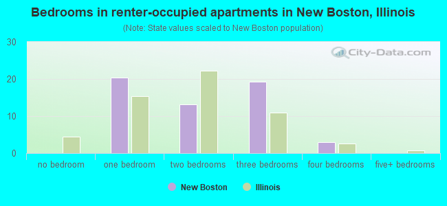 Bedrooms in renter-occupied apartments in New Boston, Illinois