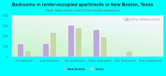 Bedrooms in renter-occupied apartments in New Boston, Texas