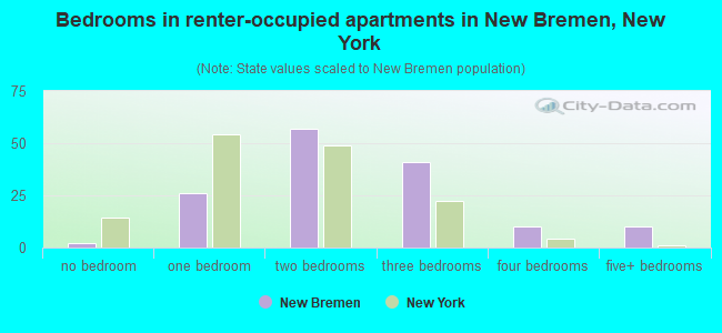 Bedrooms in renter-occupied apartments in New Bremen, New York
