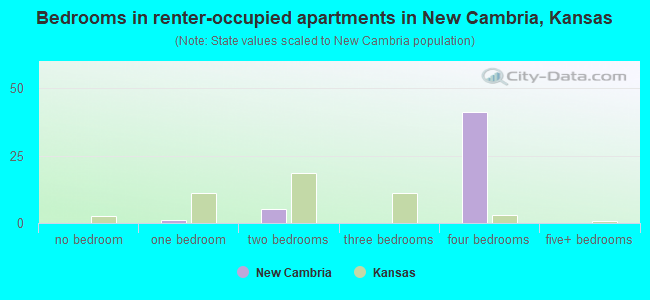 Bedrooms in renter-occupied apartments in New Cambria, Kansas