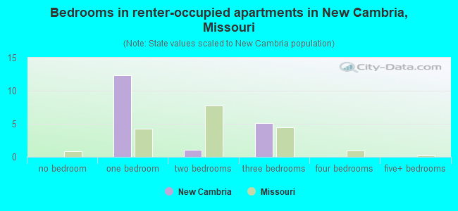 Bedrooms in renter-occupied apartments in New Cambria, Missouri