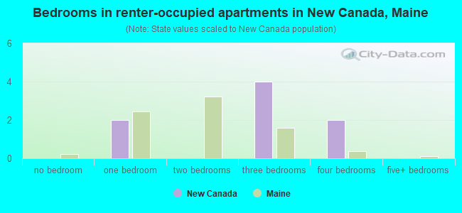 Bedrooms in renter-occupied apartments in New Canada, Maine