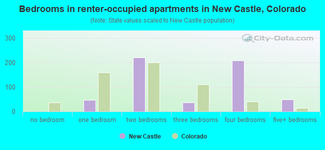 Bedrooms in renter-occupied apartments in New Castle, Colorado