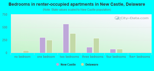 Bedrooms in renter-occupied apartments in New Castle, Delaware