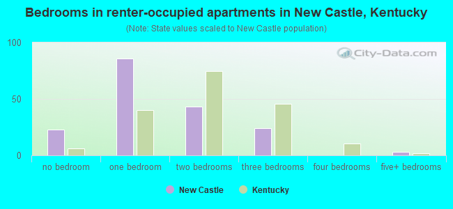 Bedrooms in renter-occupied apartments in New Castle, Kentucky