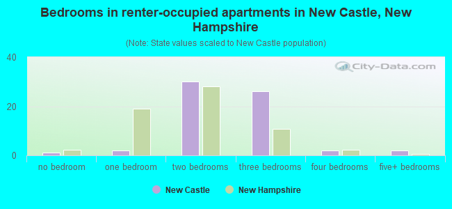 Bedrooms in renter-occupied apartments in New Castle, New Hampshire