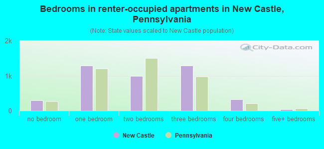 Bedrooms in renter-occupied apartments in New Castle, Pennsylvania
