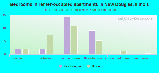 Bedrooms in renter-occupied apartments in New Douglas, Illinois