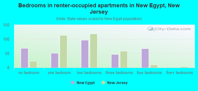 Bedrooms in renter-occupied apartments in New Egypt, New Jersey
