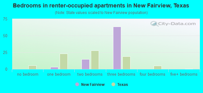 Bedrooms in renter-occupied apartments in New Fairview, Texas