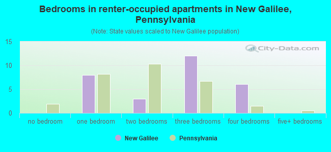 Bedrooms in renter-occupied apartments in New Galilee, Pennsylvania