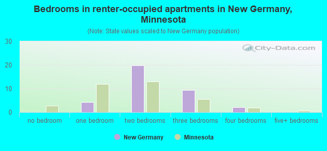 Bedrooms in renter-occupied apartments in New Germany, Minnesota
