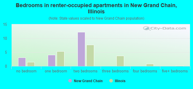 Bedrooms in renter-occupied apartments in New Grand Chain, Illinois