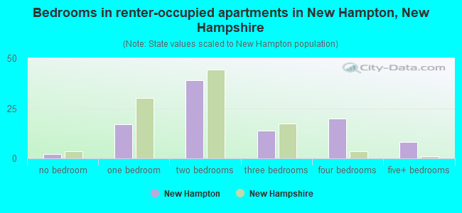 Bedrooms in renter-occupied apartments in New Hampton, New Hampshire