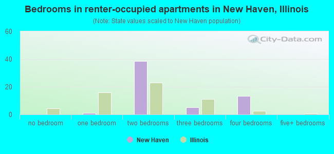 Bedrooms in renter-occupied apartments in New Haven, Illinois