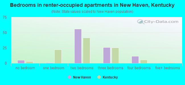 Bedrooms in renter-occupied apartments in New Haven, Kentucky