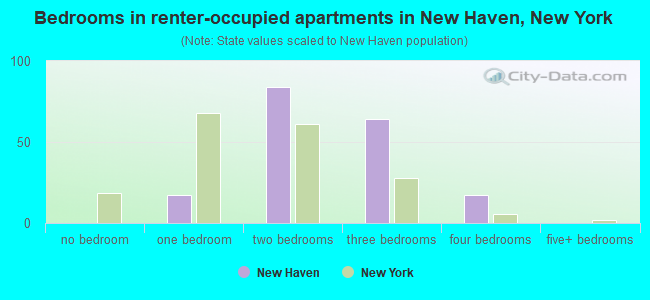Bedrooms in renter-occupied apartments in New Haven, New York