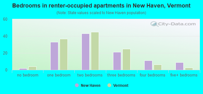 Bedrooms in renter-occupied apartments in New Haven, Vermont