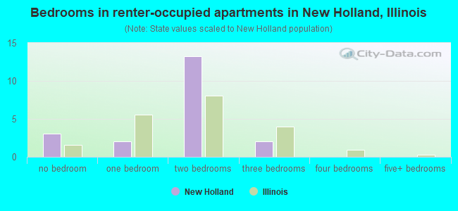 Bedrooms in renter-occupied apartments in New Holland, Illinois