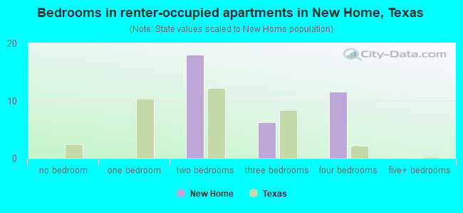 Bedrooms in renter-occupied apartments in New Home, Texas