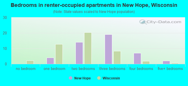 Bedrooms in renter-occupied apartments in New Hope, Wisconsin