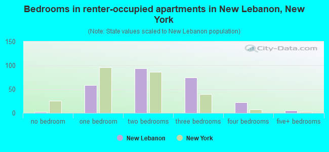 Bedrooms in renter-occupied apartments in New Lebanon, New York
