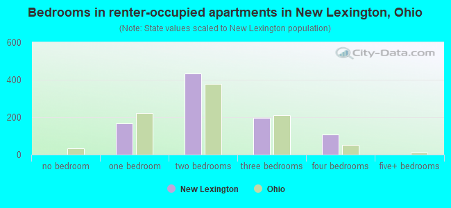 Bedrooms in renter-occupied apartments in New Lexington, Ohio