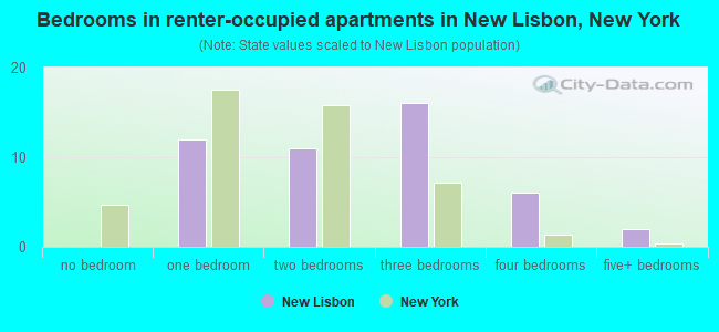 Bedrooms in renter-occupied apartments in New Lisbon, New York