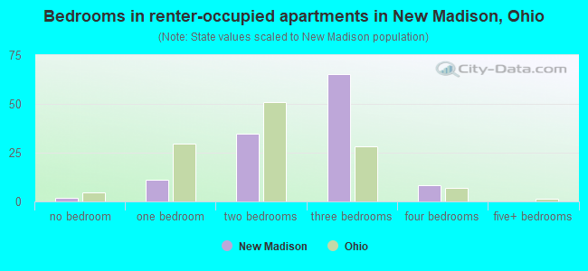 Bedrooms in renter-occupied apartments in New Madison, Ohio