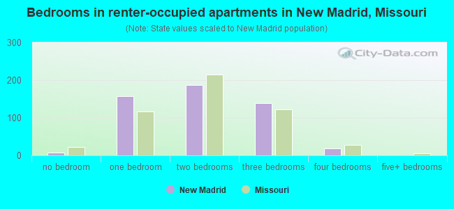 Bedrooms in renter-occupied apartments in New Madrid, Missouri