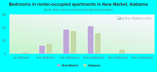 Bedrooms in renter-occupied apartments in New Market, Alabama