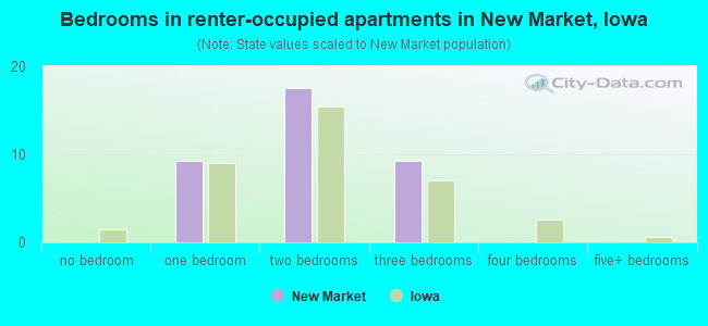 Bedrooms in renter-occupied apartments in New Market, Iowa
