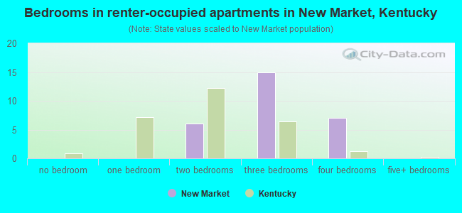 Bedrooms in renter-occupied apartments in New Market, Kentucky