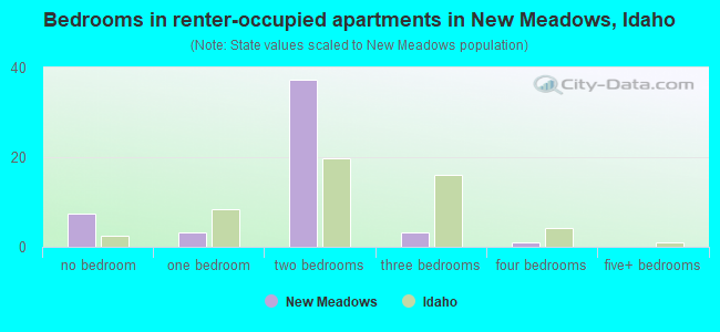 Bedrooms in renter-occupied apartments in New Meadows, Idaho