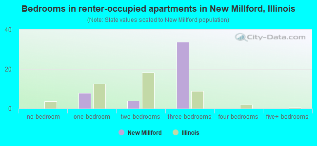 Bedrooms in renter-occupied apartments in New Millford, Illinois