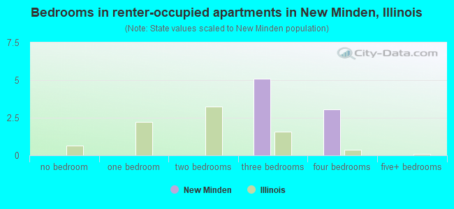 Bedrooms in renter-occupied apartments in New Minden, Illinois