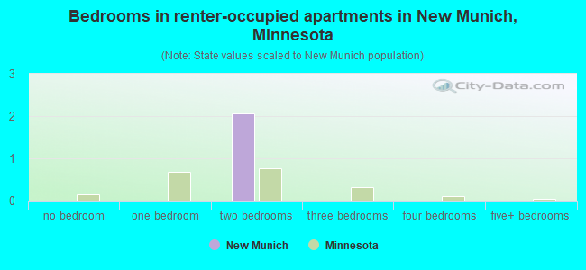 Bedrooms in renter-occupied apartments in New Munich, Minnesota