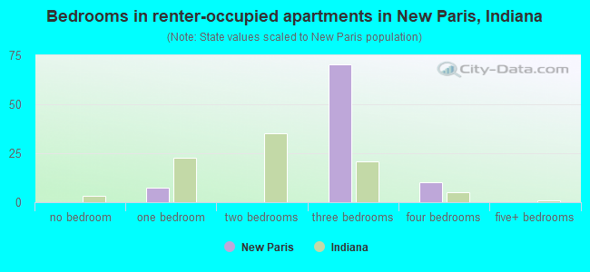 Bedrooms in renter-occupied apartments in New Paris, Indiana